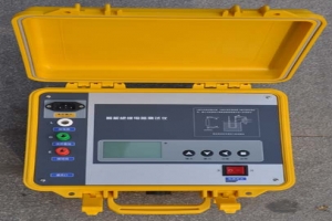 S2675DN絕緣電阻測(cè)試儀-揚(yáng)州達(dá)瑞